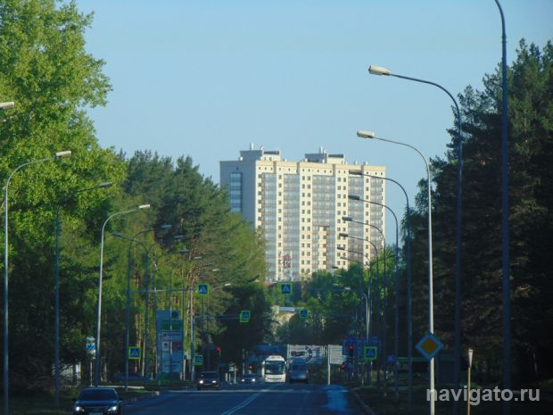 В выходные в Новосибирске будет дождливо и ветрено