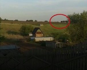 В Искитимском районе дачники видели медведя
