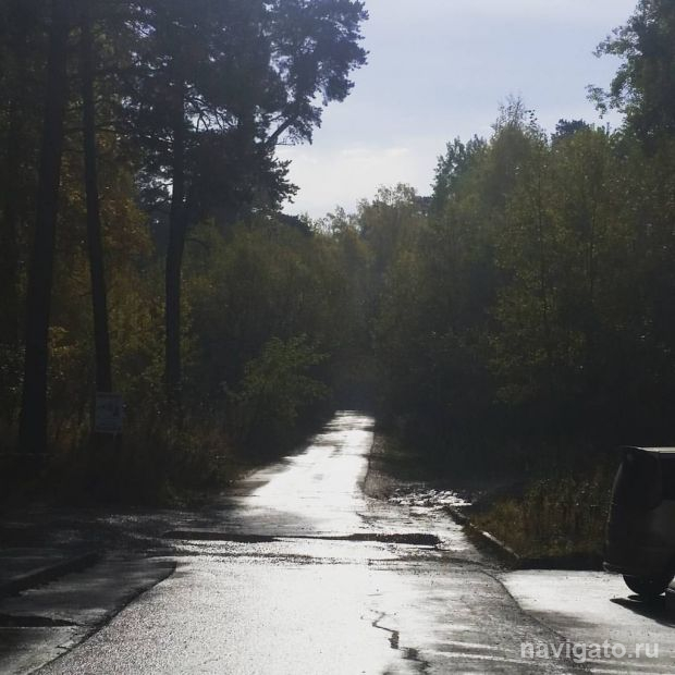 В понедельник 15 июня в Новосибирске будет прохладно