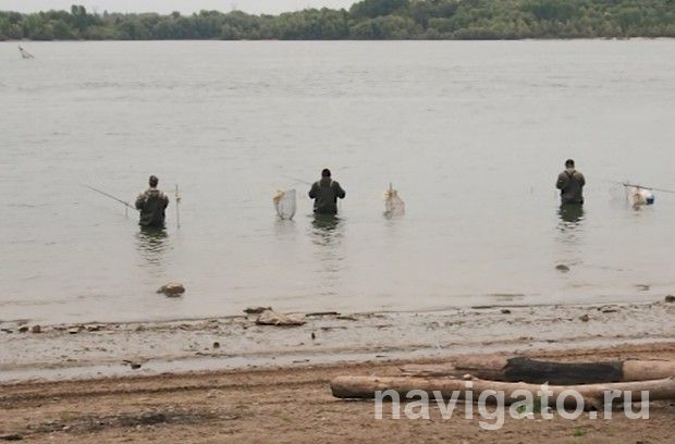 С начала года в НСО возбуждено 95 уголовных дел за браконьерство