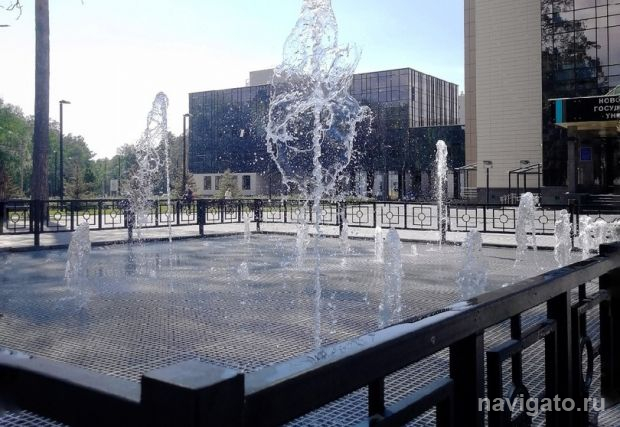 Почему важно знать, как организм реагирует на холод и жару