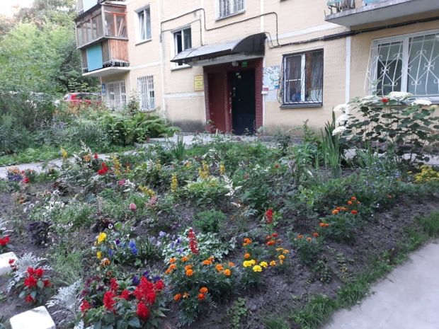 Неизвестные разорили клумбу в самом центре Академгородка