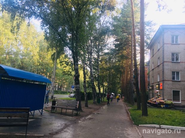 Первые дни августа: сначала немного дождя, а потом +29 и без осадков
