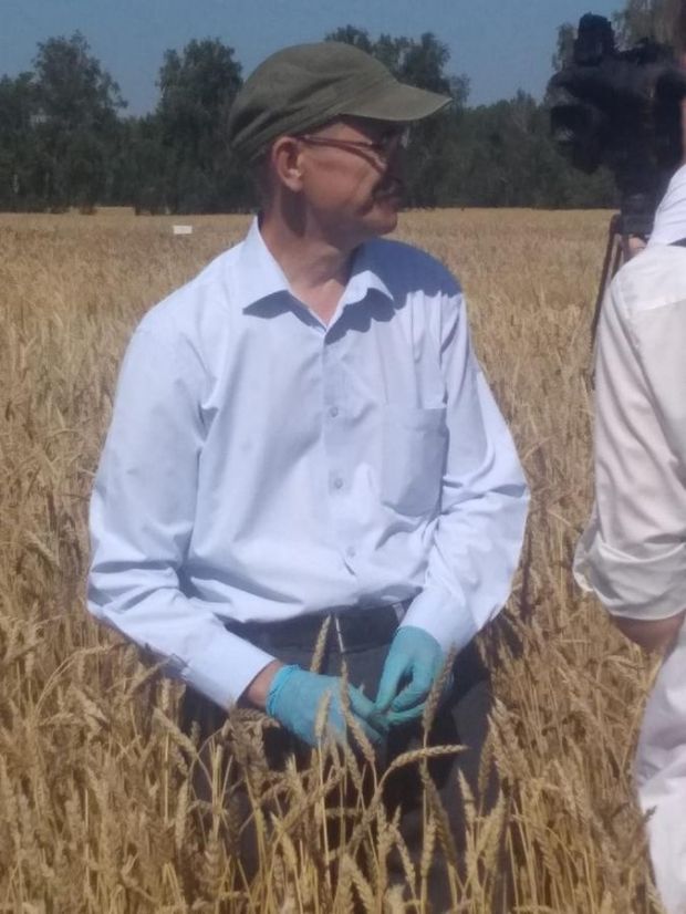 Растениеводство в Сибири: своё лучше импортного