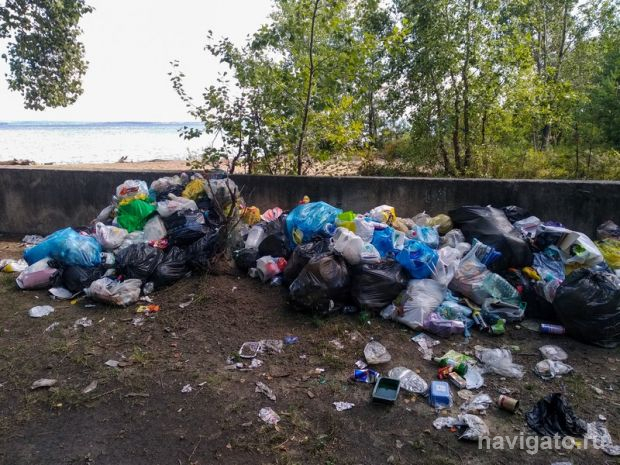 Неравнодушных сибиряков приглашают на уборку Чемского бора