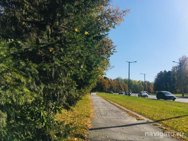 Погода в Новосибирске: на смену дождям придет потепление