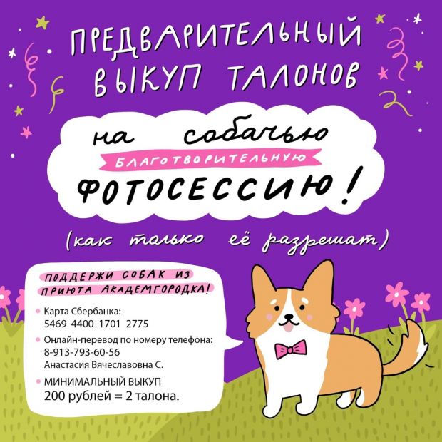 Плюс 9500 рублей: новосибирцы выкупают талончики на фотосессию с собаками