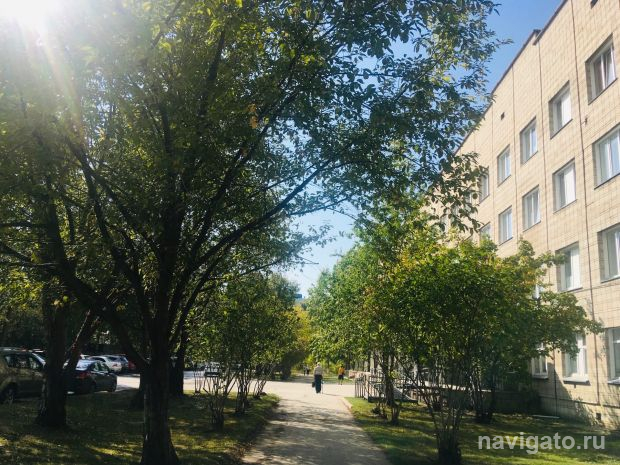 Осень пришла: в выходные в Новосибирске будет холодно и дождливо