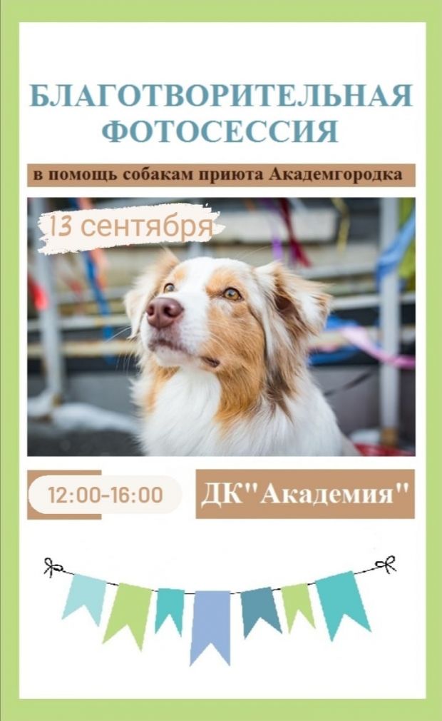 Объявлена дата благотворительной фотосессии в пользу приюта Академгородка