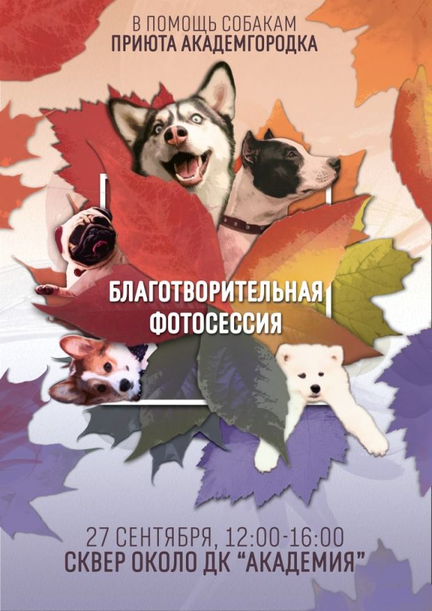 Вы готовы к фотосессии в помощь приюту для собак в Академгородке?