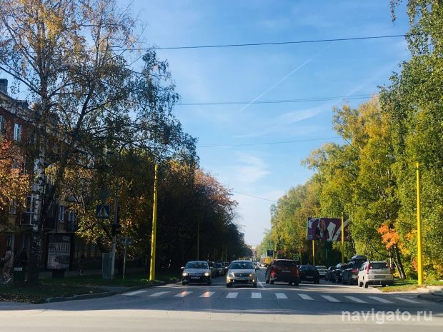 Новосибирцев просят оценить работу чиновников