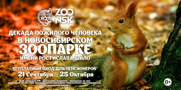 Пенсионеры могут бесплатно до 25 октября посетить Новосибирский зоопарк