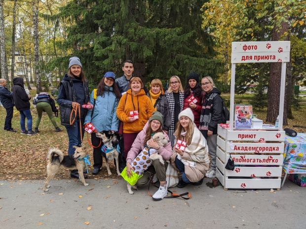 109622 рублей собрали горожане приюту для собак в Академгородке
