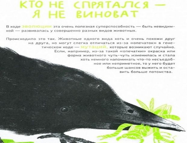 Ученый из Академгородка написала о мастерах маскировки в животном мире