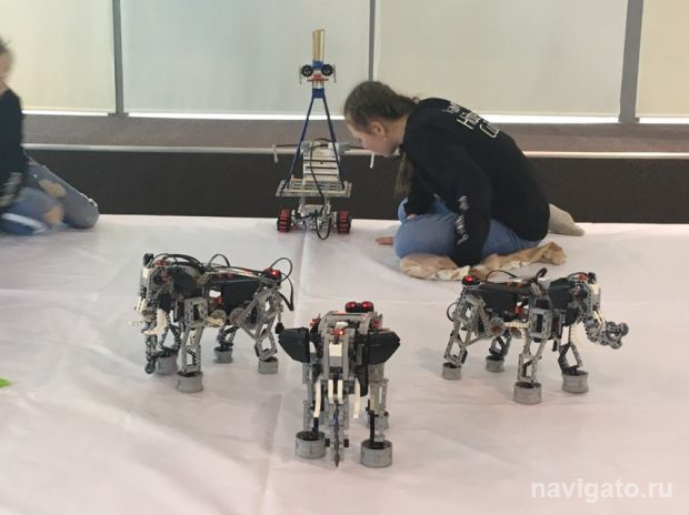 В Академгородке пройдет Школьный технический форум