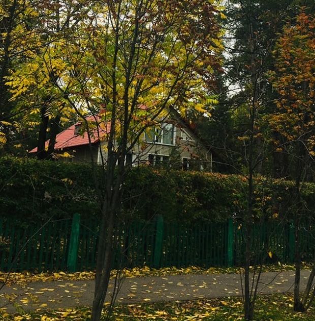 Новосибирцев предупреждают о сильном ветре и дождях