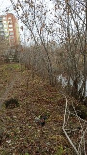 В Советском районе нашли останки человека