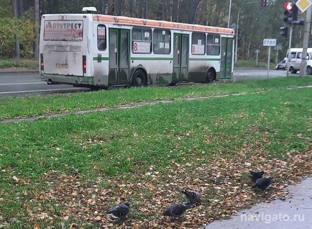 С 3 декабря можно активировать транспортную карту на 2021 год