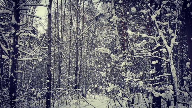 Погода на выходные: будет снежно и для декабря довольно тепло