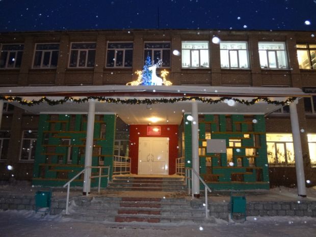 В мэрии Новосибирска рассказали, как в садах и школах отметят Новый год
