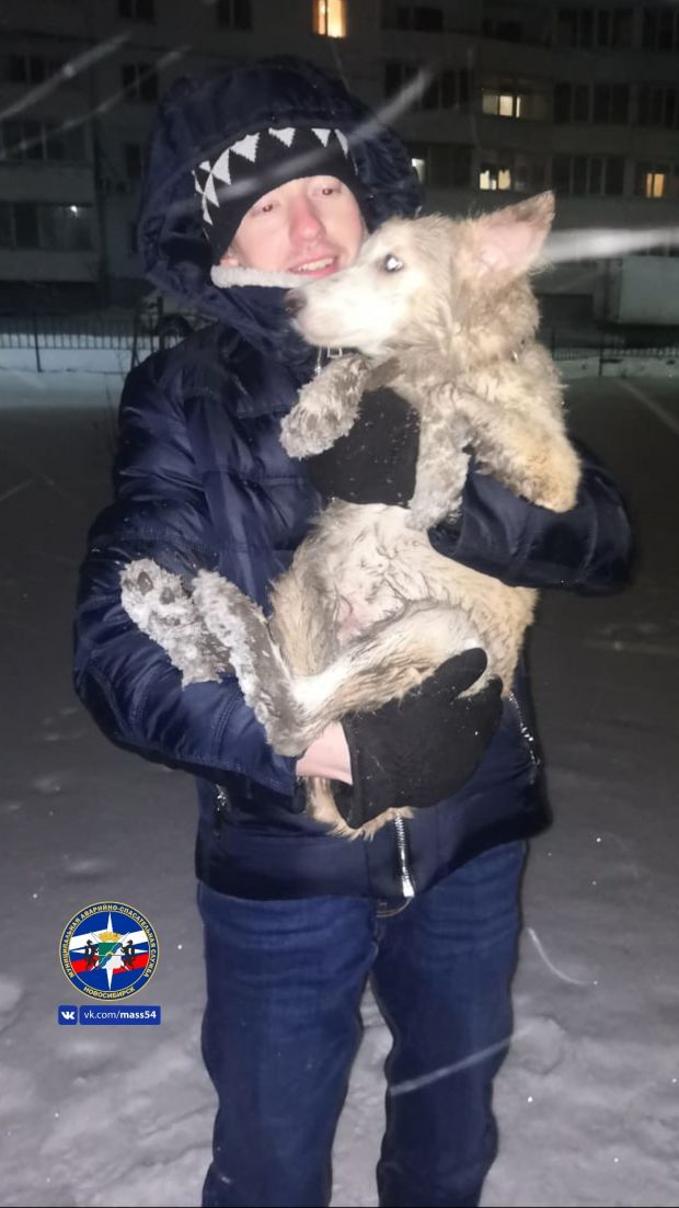 Спасатели помогли жителю Советского района спасти собаку