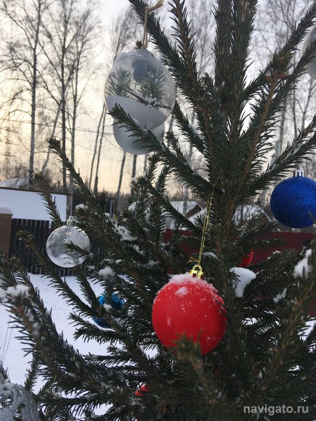 К выходным в Новосибирске похолодает до минус 35 градусов