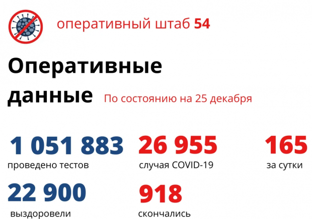 Девять человек умерли за сутки от коронавируса в Новосибирской области