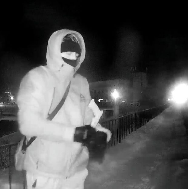 В Советском районе неизвестный незаконно спилил ель