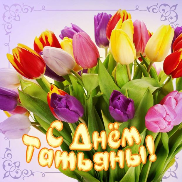 Татьян и студентов поздравляют губернатор НСО и мэр Новосибирска