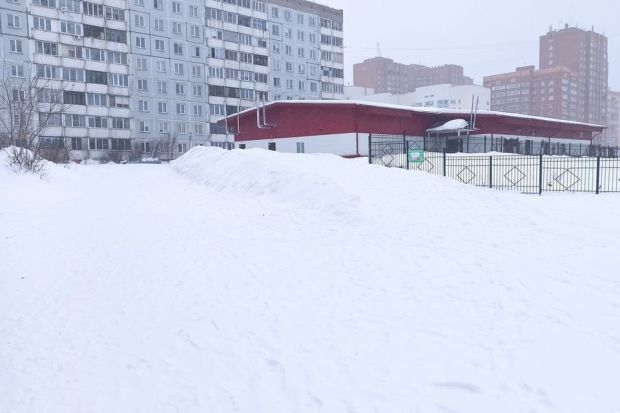 Школьники избили 9-летнюю девочку на одной из горок Новосибирска