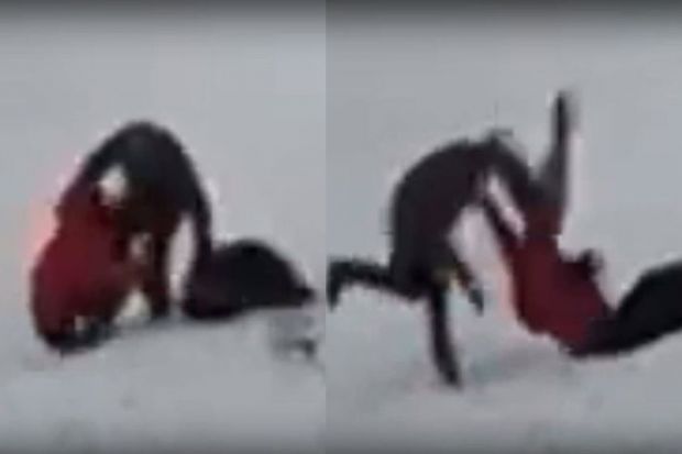 Полиция ищет мужчину, избившего мальчиков из-за сломанного снеговика