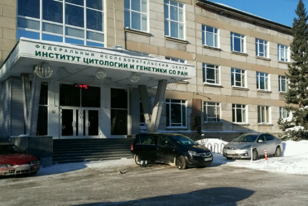 В ИЦиГ СО РАН рассказали о зарплатах научных сотрудников
