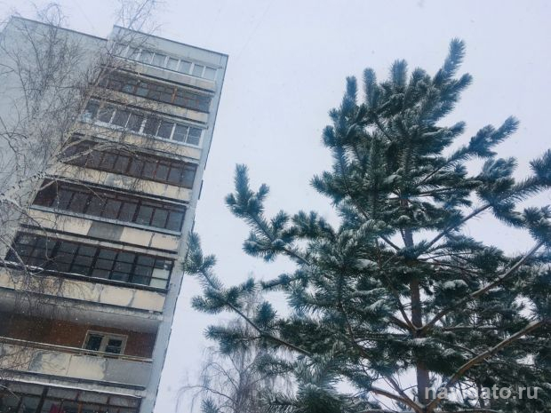 Порывистый ветер принесет в Новосибирск потепление и метели