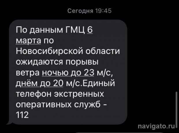 МЧС предупреждает новосибирцев о сильном ветре и снегопадах