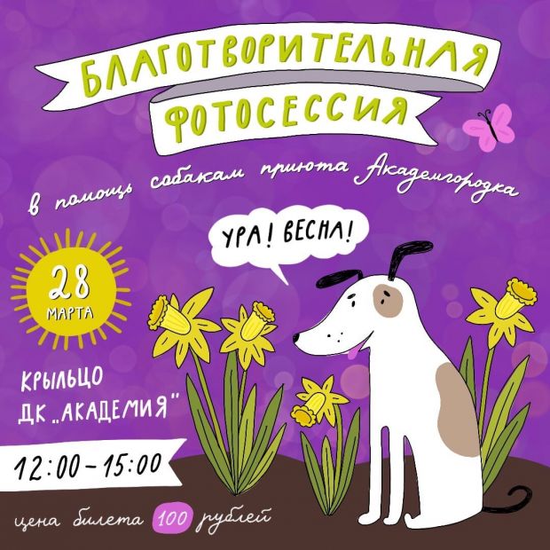 Благотворительная фотосессия в пользу бездомных собак