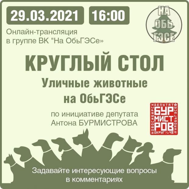 Проблему уличных собак обсудят в Советском районе