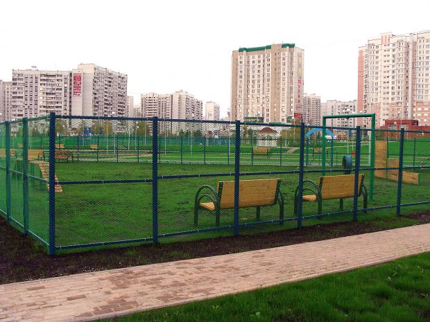 Прокуратура потребовала от мэрии определить места для выгула собак