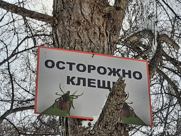 На ОбьГЭС будут травить клещей