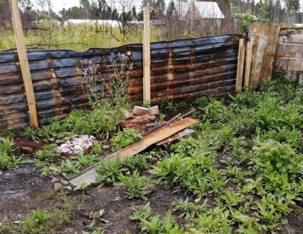 Мужчина по неосторожности спалил 100 дачных участков