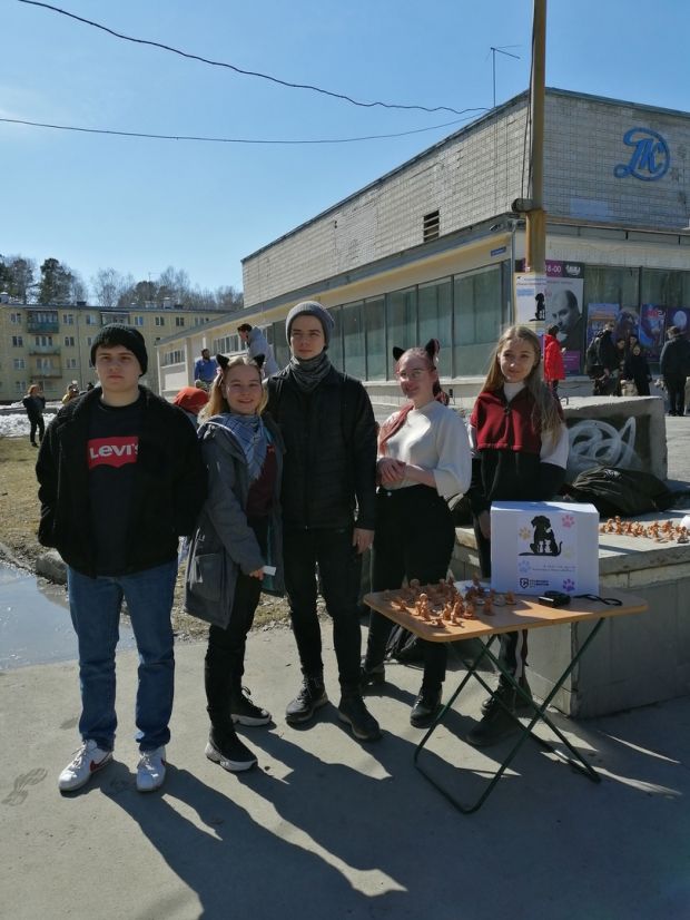 Волонтеры из НГУ собрали для приюта более 50 тысяч рублей