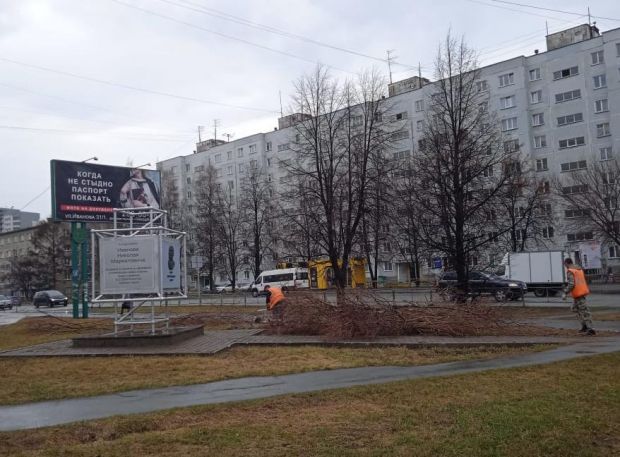 Около паспорта улицы Иванова вырубили старые кусты