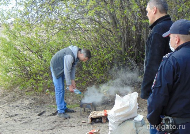 В Новосибирске создают комиссию по охране лесов от пожаров