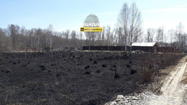 В Новосибирской области продлили противопожарный режим