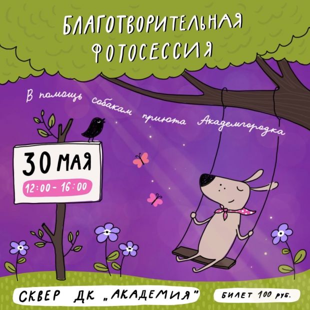 В Академгородке пройдет фотосессия в пользу приюта для собак