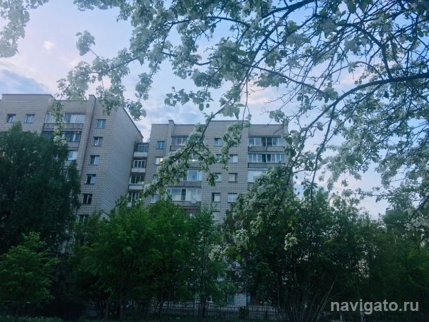 Синоптики обещают жару и грозы на ближайшие три дня