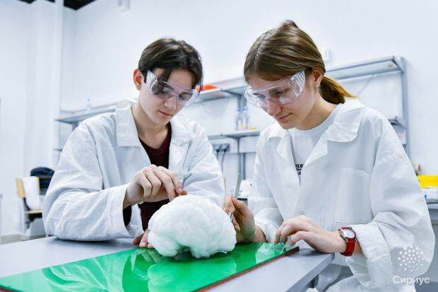 Школьники из Советского района победили во всероссийском конкурсе