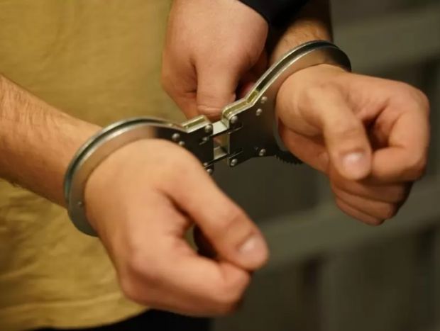 В Бердске суд на 2 месяца арестовал мужчину, напавшего на девочку