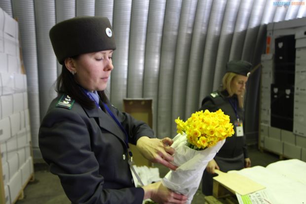 Зараженные цветы из Словакии не пустили в Новосибирск