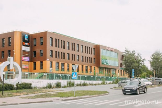 Возле технопарка высадят 200 деревьев и кустарников
