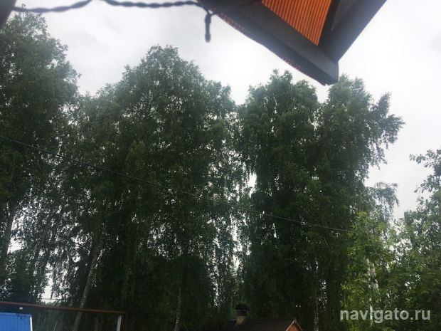До июля в Новосибирске будут идти дожди